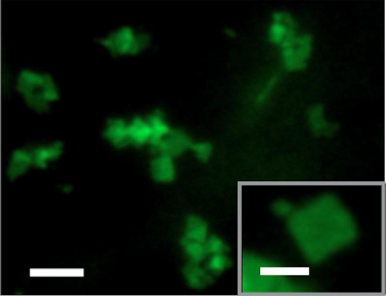 化学家发明形状移位纳米材料 具有有趣的生物医学潜力 欧洲杯法国葡萄牙亚盘